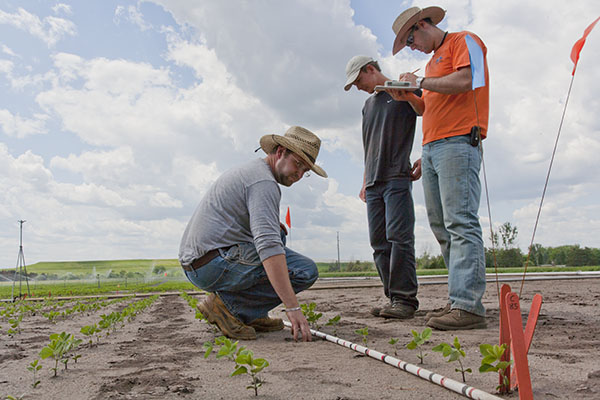 3 men standing in a field next to an irrigation pipe