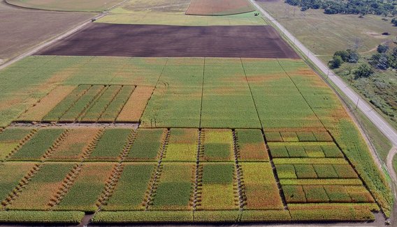 Aerial view of research plots at the SPRF